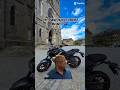 Quand on veut toucher la moto sens me demandé #50cc #50ccmotor #fosti