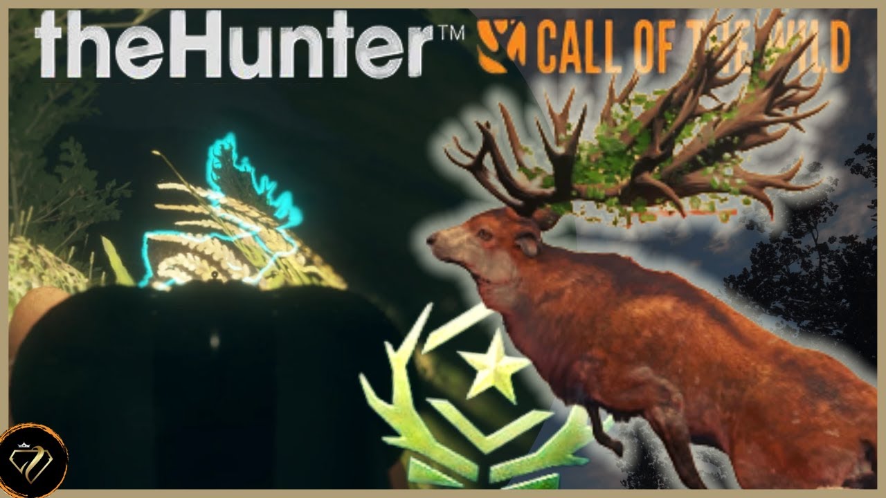 Je chasse mon 4ième GREAT ONE ELAPHE avec le FUSIL STRECKER SXS ! TheHunter Cotw YouTube