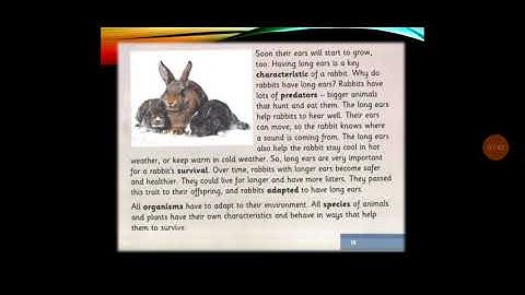 connect plus 3 unit 7 lesson 4 term 2