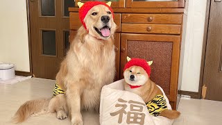 節分に愛犬と豆まきをしたらとんでもないことになりました...