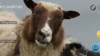 Why you should learn JavaScript in 2016