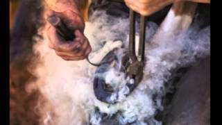 Nature Farms Farrier Supply