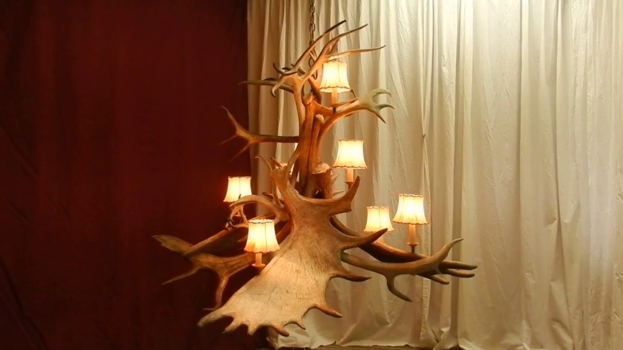 Asymmetrical Moose Caribou Antler Chandelier You Asymmetrical Moose Caribou Antler Chandelier