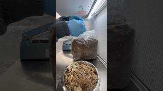 Mushroom Grow Bag Tutorial #mushroom #gourmet #science #food #laboratory