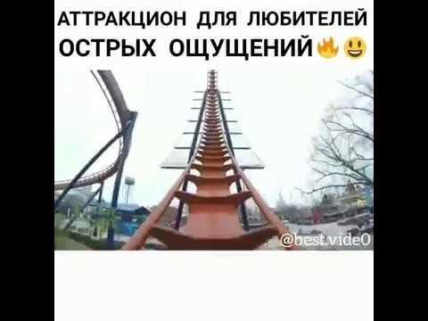 Юмор в картинках и фотографиях с надписями. Приколы с надписями. Как понять острые ощущения. День любителя острых ощущений картинки. Приколы картинки с надписями.