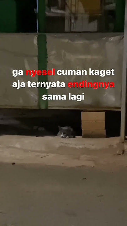endingnya sama lagi #storywakekinian #viral #fff #storywa #katakatabijak #sad #bahagia #trend #fyp