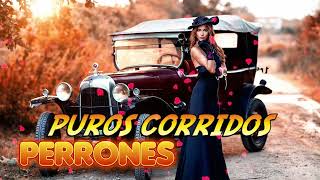 Puros corridos perrones 💥 lo más Chingon de corridos 💥 Puros Corridos Perrones Mix 2024