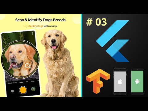 Dog Breed Identification