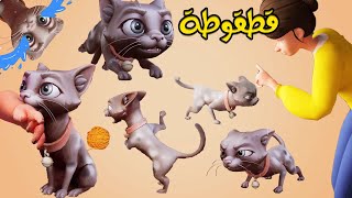 أغنية قطقوطة قطه قطةI قناة كونكورن