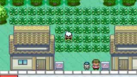 pokemon ruby cheats episode 4 : MISSINGNO