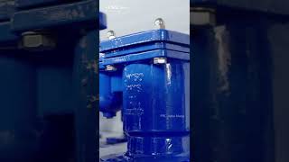 DN150 PN16 Square-Head Dual-Orifice Air Release Valve-FENQI #Valve #videos #china