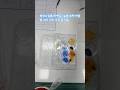 영양소검출(단백질) 실험 뷰렛 반응밥 과자 치즈 우유 콩기름