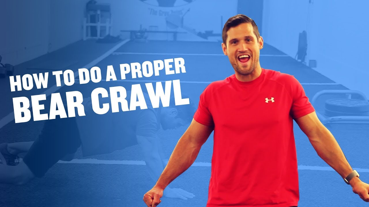 How To Do a Proper Bear Crawl YouTube