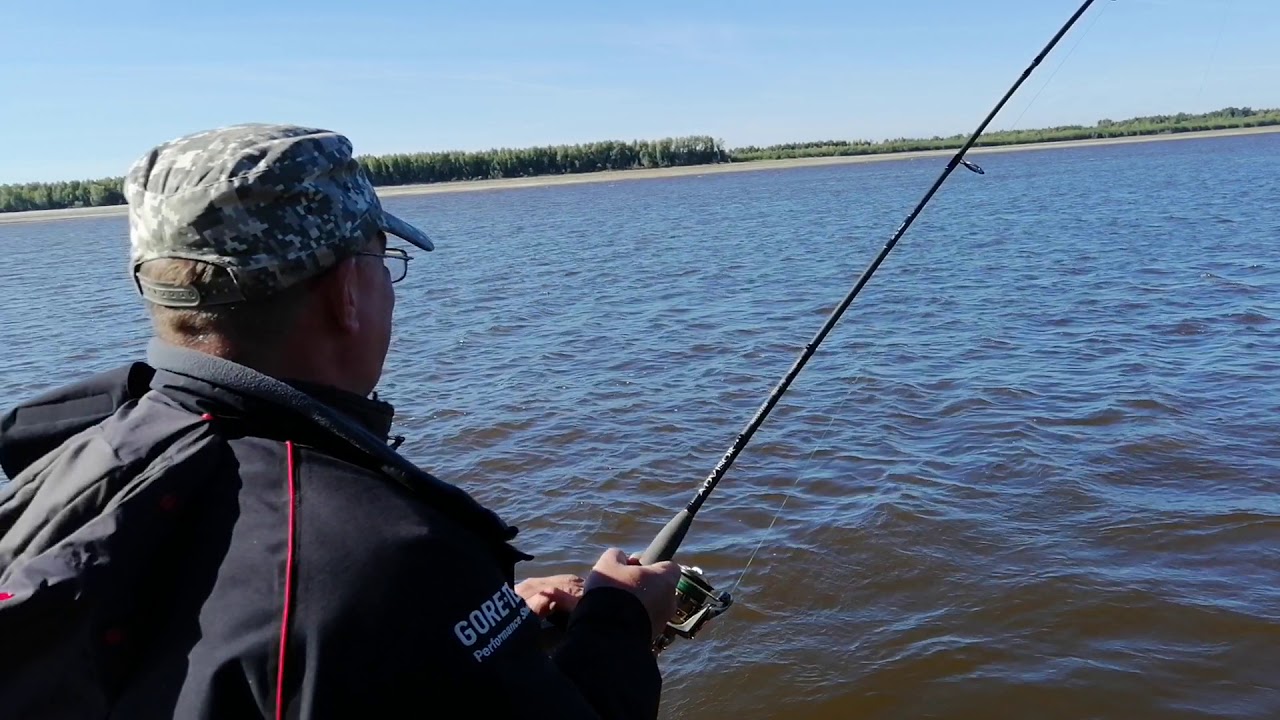 Ловля трофейной щуки троллингом на Оби 2020. Щука 11400