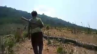 Cuab Zia Noog Dadej.