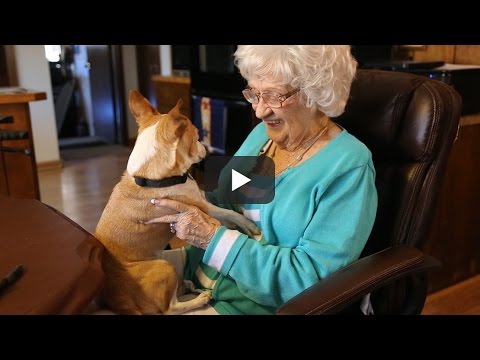 AAHA Champions: Tucker's story - AAHA Champions: Tucker's story
