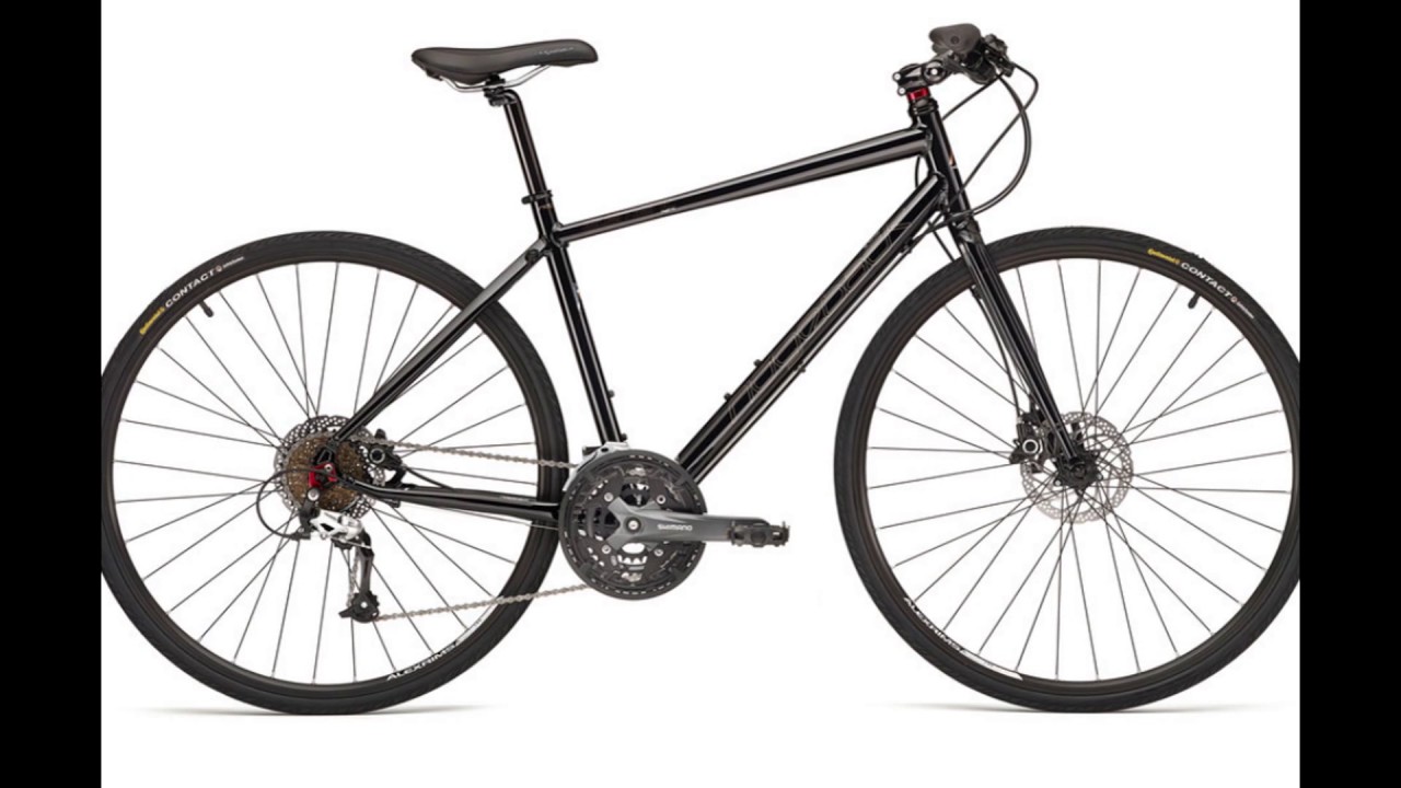 ridgeback dimension 20 review