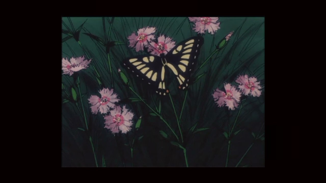 Tuğçe Şenoğlu - Bunu Sana Demiştim (Disco Tarantula Remix) | Slowed