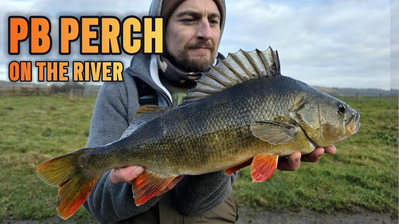 Мой личный рекорд — окунь 48 см! Рыбалка в реке 🎣