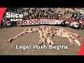 Inside the Fight to Give Animals Legal Rights | Part 4 | SLICE EARTH