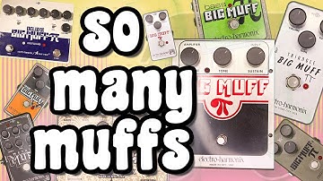 So Many Muffs - A Quick Tour of Today