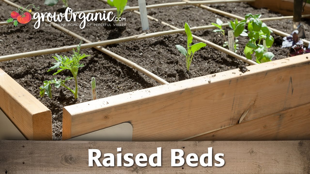 How to Grow Organic Vegetables in Raised Beds - YouTube