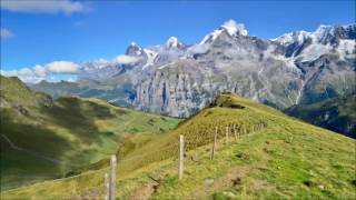 Natural Yodel (Schonbachler Family)