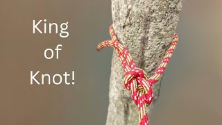 How to Tie a Bowline Knot Fast | The King of Knots Explained Step by Step