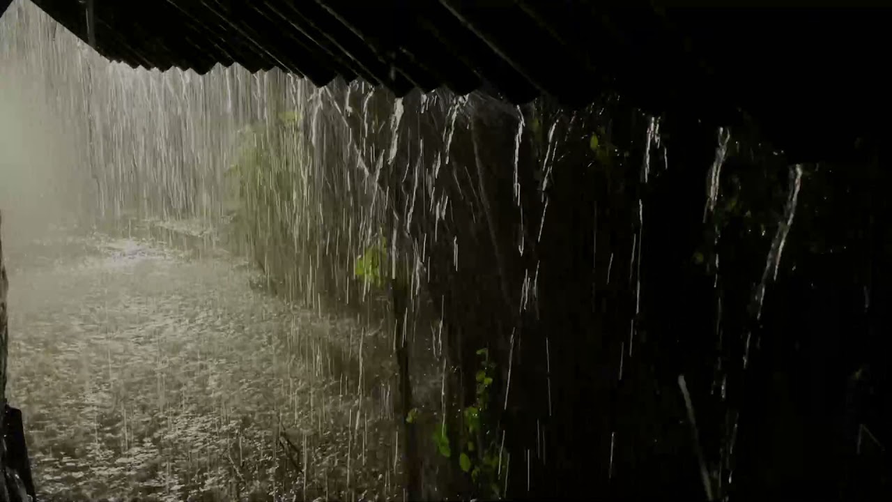 Try Listening In 3 Minutes To Sleep Instantly With Heavy Rain On Tent Roof  Strong Thunder Sounds