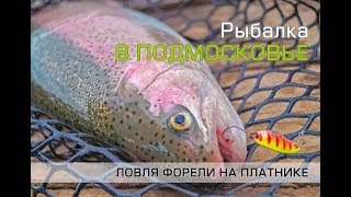 Ловля форели на платнике. Поиск рыбы на незнакомом водоеме