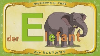 Multipedia Der Tiere. Buchstabe E - Der Elefant