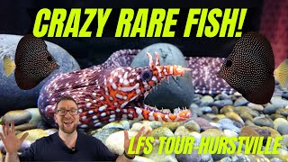 Crazy Rare Fish at Hurstville Aquarium!