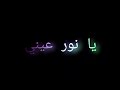 محمد مختار سبتيني لوحدي