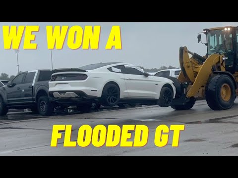 WE BOUGHT A FLOODED MUSTANG GT CAN MIKE DRIVE IT BACK?