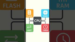 Inside a Microcontroller #viral#shorts #shortvideo #viralvideo
