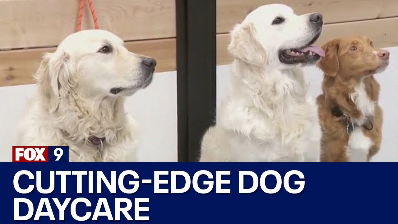 Spotlight on FOX 9 News