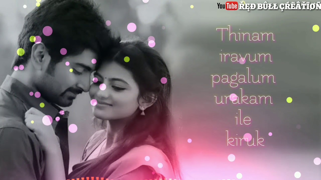 Album Adi Aathi video Song Lyrics  Satthia  whatsapp status