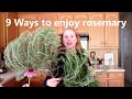 Herb 9 ways to use rosemary