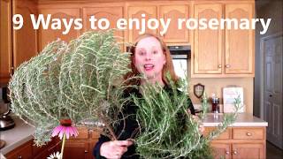 Herb 9 ways to use rosemary