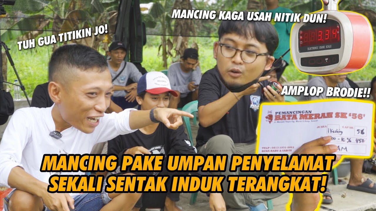 LAPAK SUSAH!! MANCING PAKE UMPAN WAH INDUK AUTO SAH ATHENA III MEMANG TERASAH | DFT X BAM AMPLOP BRO