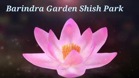 free intro maker, intro 2D, intro 3D, intro creator, magic video maker