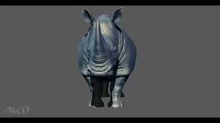 3d sculpting the Rhinoceros