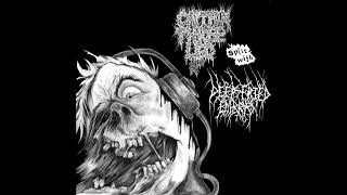 Deep Fried Embryo 2013 (split with Captain Three Leg) noisecore | noise | noisegrind | grindcore