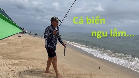 Đi câu biển... cá biển ngu lắm... lần đầu áp dụng câu bạc bãi #cauca #caubien #caucavip