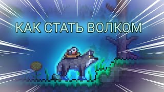 КАК СТАТЬ ВОЛКОМ В ТЕРРАРИИ 1.4.4