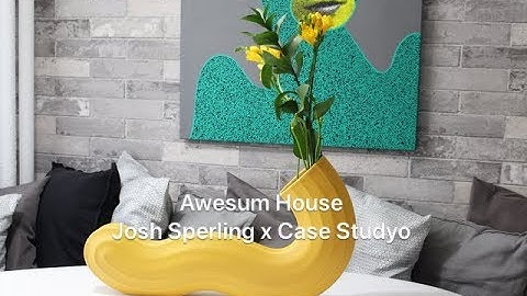 Vases &  Art. Awesum House x Josh Sperling x Case Studyo "We All Make The Big Flowers Grow" Unboxing