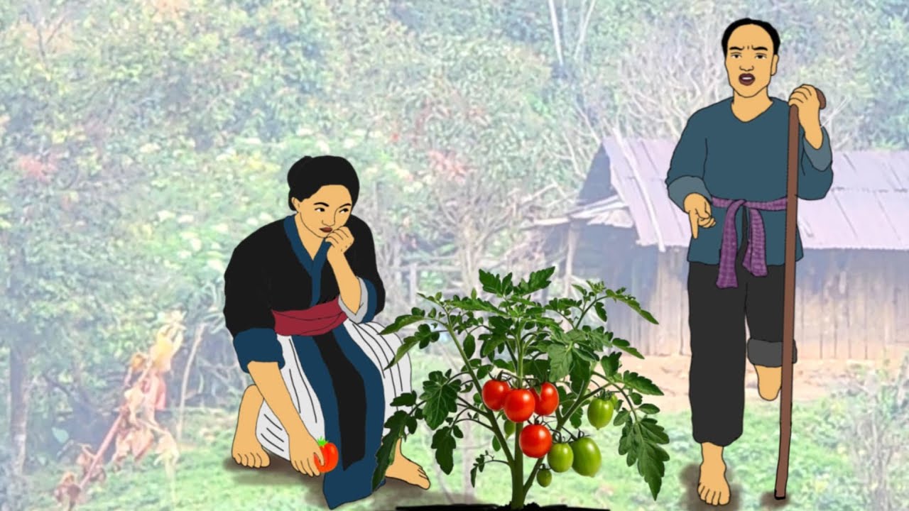 Ua Neej Tsis Pom Tom Ntej Txhob Lam Ua Neej Siab Phem 11/19/2025