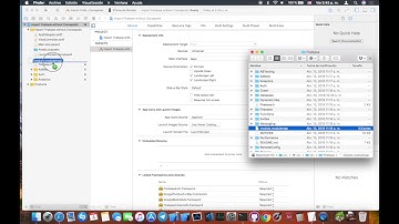 Xcode: Importar Firebase sin Cocoapods