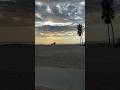 Venice Beach #travel #travelvlog #shorts