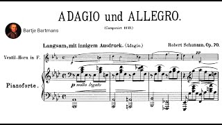 Robert Schumann - Adagio and Allegro, Op. 70 (1849)